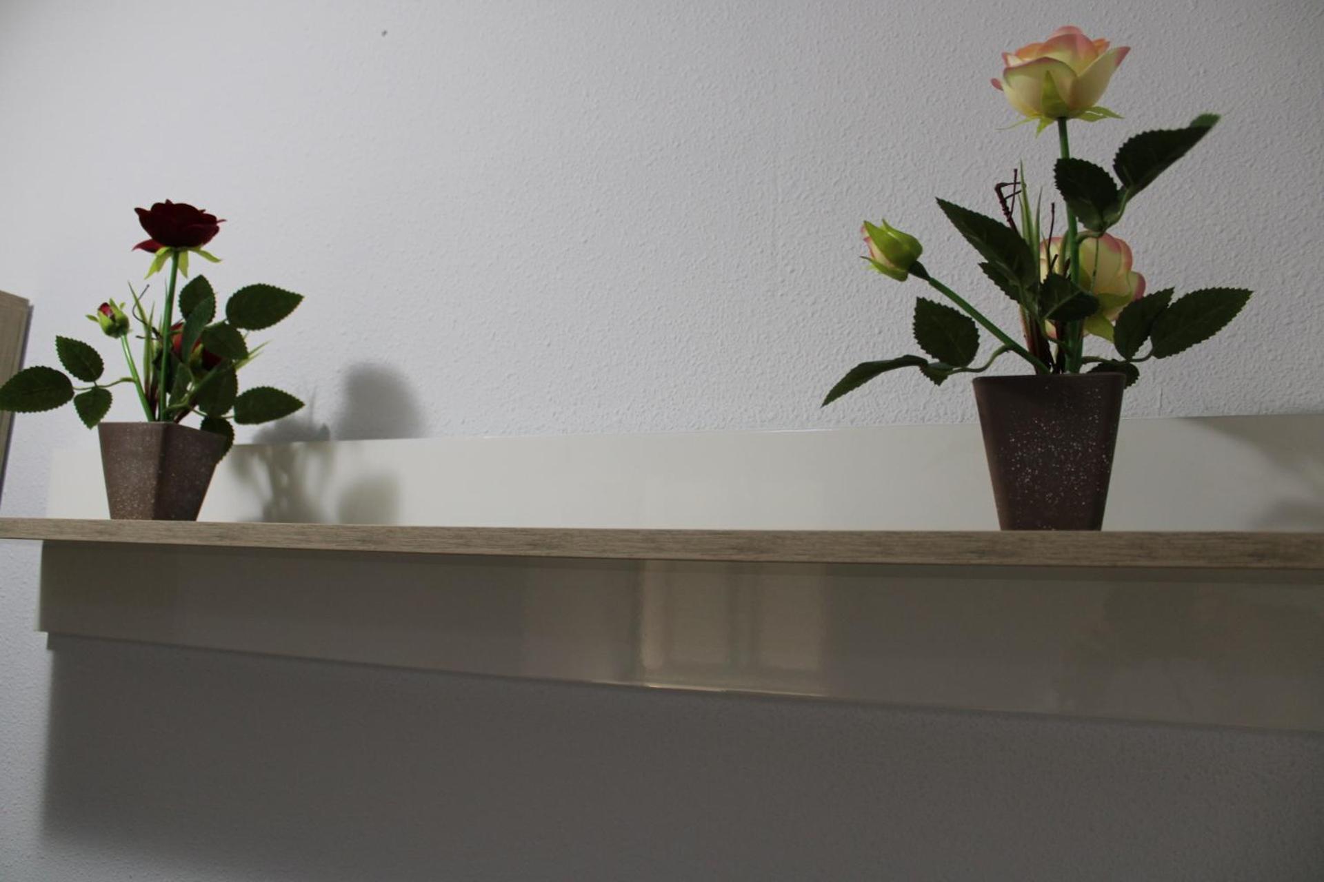 Maria Montessori, Pedagoga Appartement Valencia